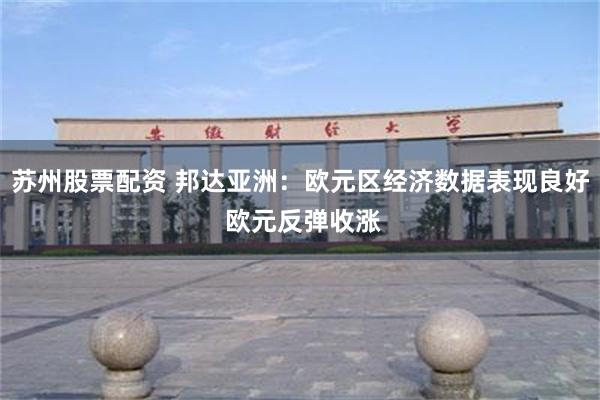 苏州股票配资 邦达亚洲：欧元区经济数据表现良好 欧元反弹收涨