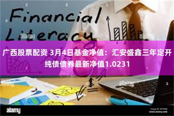 广西股票配资 3月4日基金净值：汇安盛鑫三年定开纯债债券最新净值1.0231