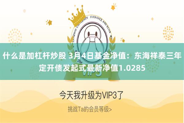 什么是加杠杆炒股 3月4日基金净值：东海祥泰三年定开债发起式最新净值1.0285