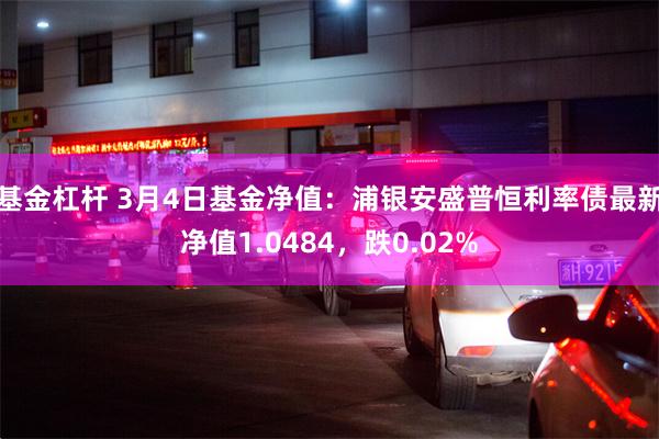 基金杠杆 3月4日基金净值：浦银安盛普恒利率债最新净值1.0484，跌0.02%