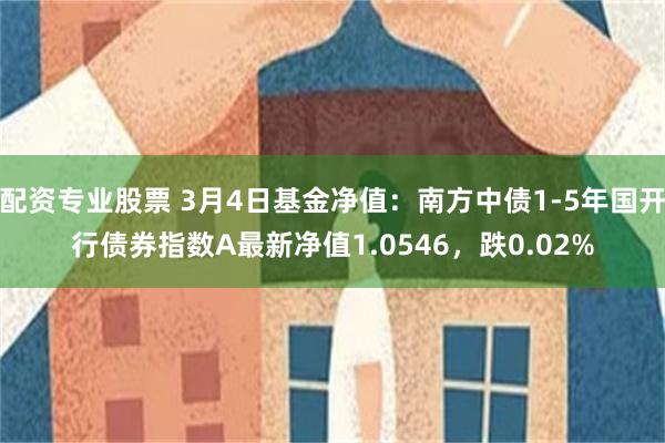 配资专业股票 3月4日基金净值：南方中债1-5年国开行债券指数A最新净值1.0546，跌0.02%