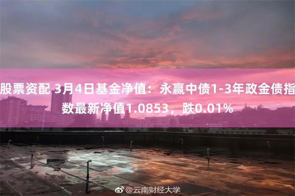 股票资配 3月4日基金净值：永赢中债1-3年政金债指数最新净值1.0853，跌0.01%