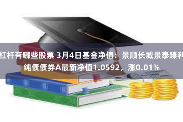 杠杆有哪些股票 3月4日基金净值：景顺长城景泰臻利纯债债券A最新净值1.0592，涨0.01%