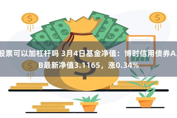 股票可以加杠杆吗 3月4日基金净值：博时信用债券A/B最新净值3.1165，涨0.34%