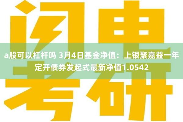a股可以杠杆吗 3月4日基金净值：上银聚嘉益一年定开债券发起式最新净值1.0542