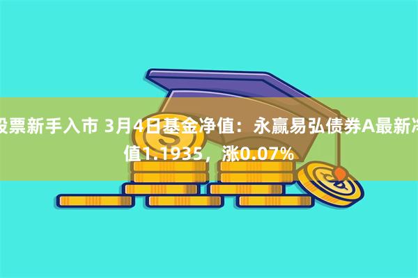 股票新手入市 3月4日基金净值：永赢易弘债券A最新净值1.1935，涨0.07%