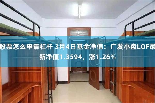 股票怎么申请杠杆 3月4日基金净值：广发小盘LOF最新净值1.3594，涨1.26%