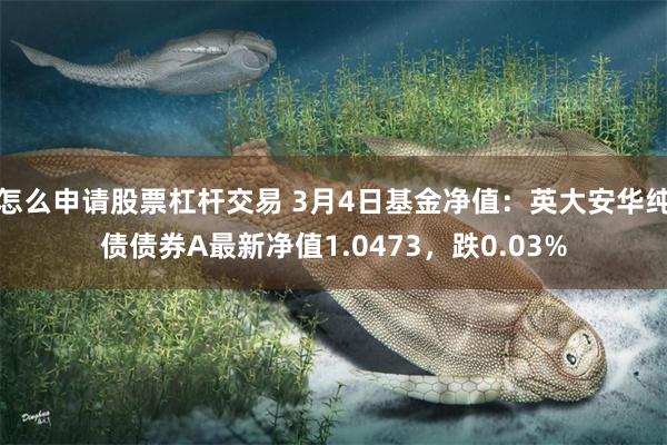 怎么申请股票杠杆交易 3月4日基金净值：英大安华纯债债券A最新净值1.0473，跌0.03%