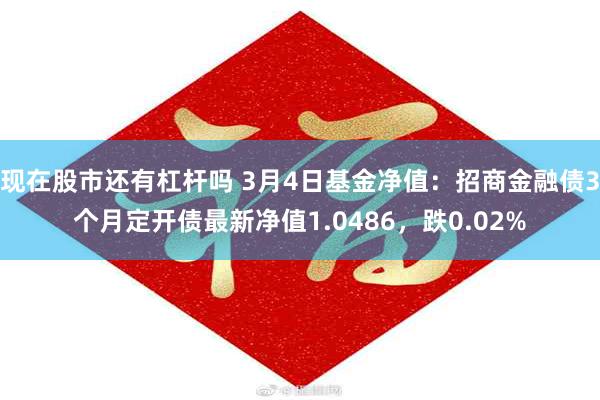 现在股市还有杠杆吗 3月4日基金净值：招商金融债3个月定开债最新净值1.0486，跌0.02%