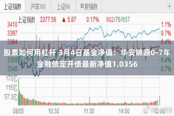 股票如何用杠杆 3月4日基金净值：华安锦源0-7年金融债定开债最新净值1.0356