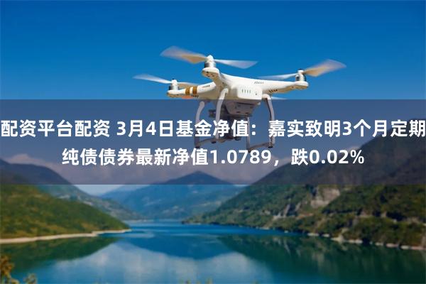 配资平台配资 3月4日基金净值：嘉实致明3个月定期纯债债券最新净值1.0789，跌0.02%