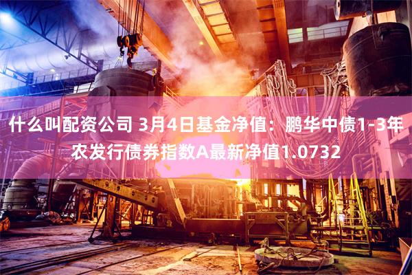 什么叫配资公司 3月4日基金净值：鹏华中债1-3年农发行债券指数A最新净值1.0732
