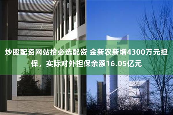 炒股配资网站拾必选配资 金新农新增4300万元担保，实际对外担保余额16.05亿元