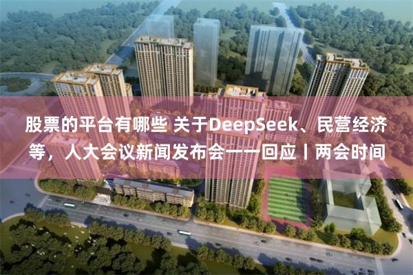 股票的平台有哪些 关于DeepSeek、民营经济等，人大会议新闻发布会一一回应丨两会时间