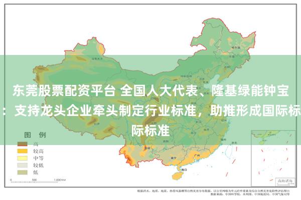 东莞股票配资平台 全国人大代表、隆基绿能钟宝申：支持龙头企业牵头制定行业标准，助推形成国际标准
