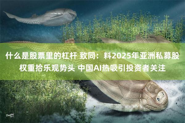 什么是股票里的杠杆 致同：料2025年亚洲私募股权重拾乐观势头 中国AI热吸引投资者关注