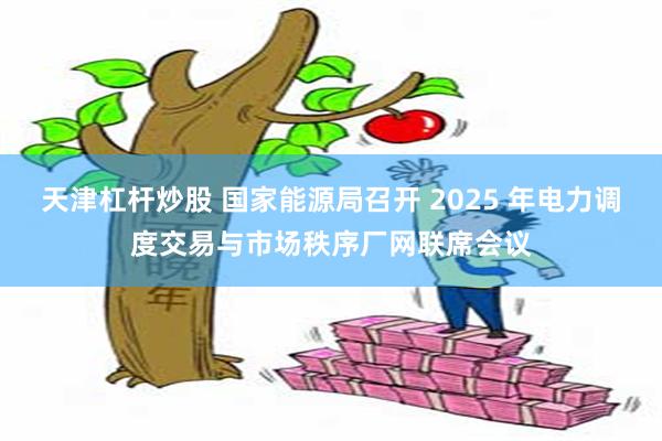 天津杠杆炒股 国家能源局召开 2025 年电力调度交易与市场秩序厂网联席会议