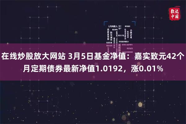 在线炒股放大网站 3月5日基金净值：嘉实致元42个月定期债券最新净值1.0192，涨0.01%