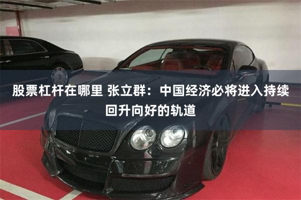 股票杠杆在哪里 张立群：中国经济必将进入持续回升向好的轨道