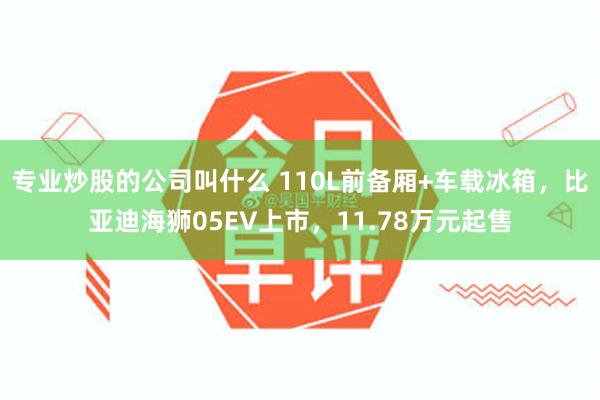 专业炒股的公司叫什么 110L前备厢+车载冰箱，比亚迪海狮05EV上市，11.78万元起售