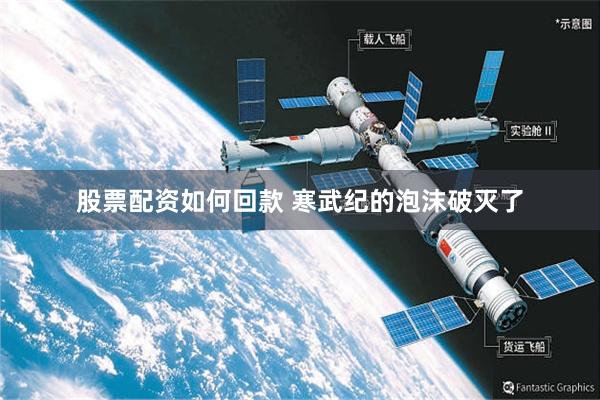 股票配资如何回款 寒武纪的泡沫破灭了