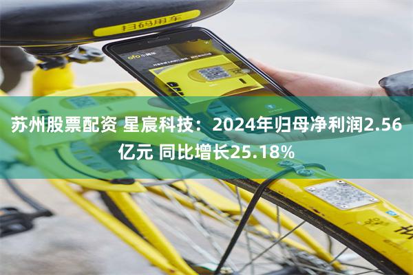 苏州股票配资 星宸科技：2024年归母净利润2.56亿元 同比增长25.18%
