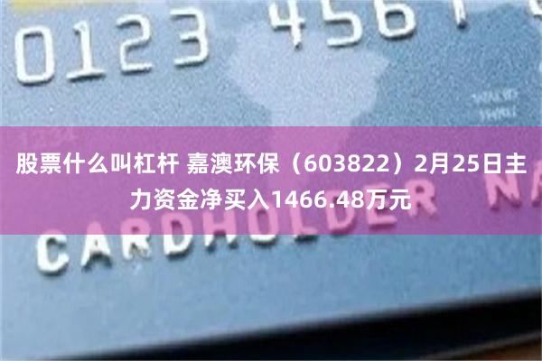 股票什么叫杠杆 嘉澳环保（603822）2月25日主力资金净买入1466.48万元