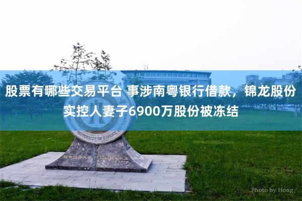 股票有哪些交易平台 事涉南粤银行借款，锦龙股份实控人妻子6900万股份被冻结