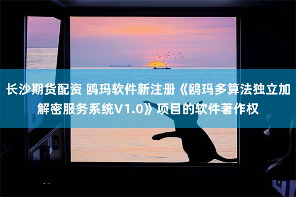 长沙期货配资 鸥玛软件新注册《鸥玛多算法独立加解密服务系统V1.0》项目的软件著作权