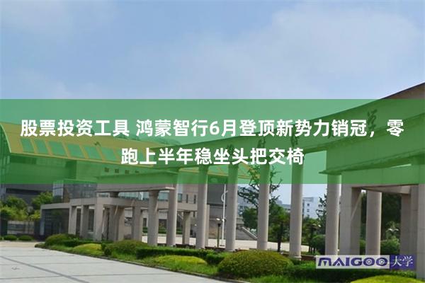 股票投资工具 鸿蒙智行6月登顶新势力销冠，零跑上半年稳坐头把交椅