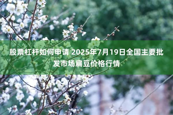 股票杠杆如何申请 2025年7月19日全国主要批发市场扁豆价格行情