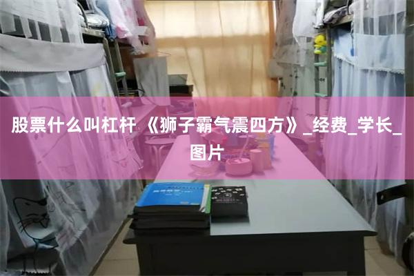 股票什么叫杠杆 《狮子霸气震四方》_经费_学长_图片