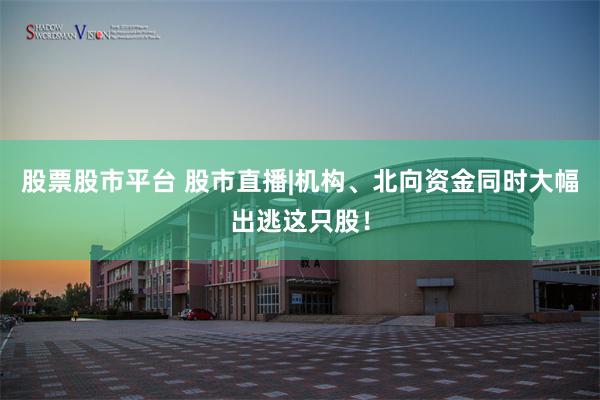 股票股市平台 股市直播|机构、北向资金同时大幅出逃这只股！