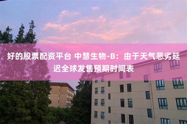 好的股票配资平台 中慧生物-B：由于天气恶劣延迟全球发售预期时间表