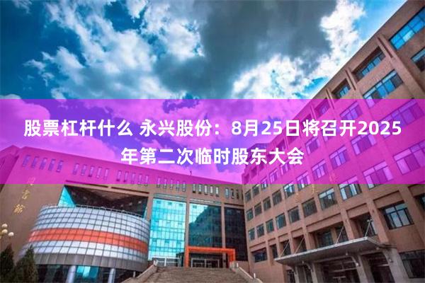 股票杠杆什么 永兴股份：8月25日将召开2025年第二次临时股东大会