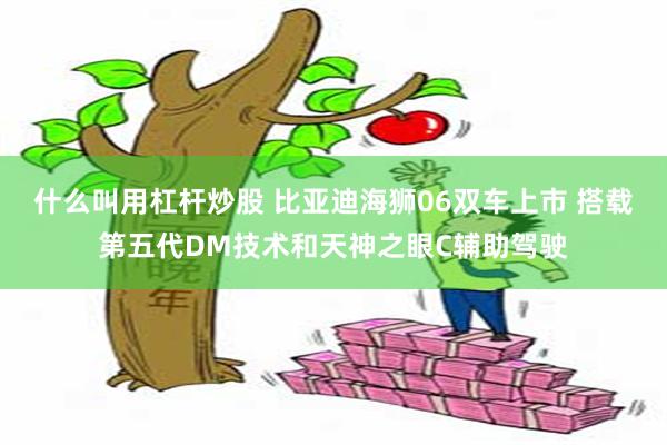 什么叫用杠杆炒股 比亚迪海狮06双车上市 搭载第五代DM技术和天神之眼C辅助驾驶