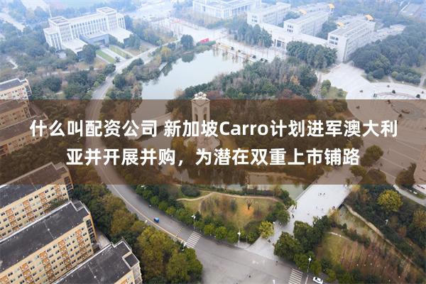 什么叫配资公司 新加坡Carro计划进军澳大利亚并开展并购，为潜在双重上市铺路