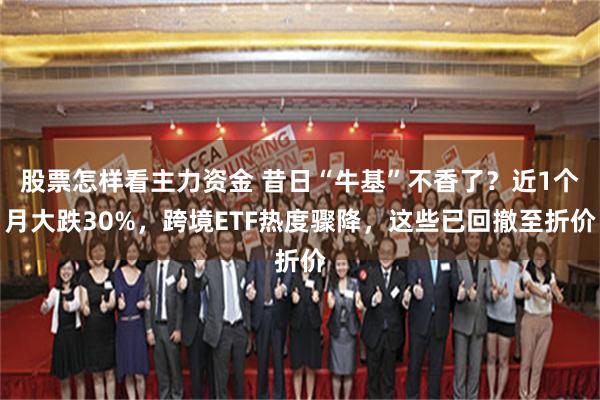 股票怎样看主力资金 昔日“牛基”不香了？近1个月大跌30%，跨境ETF热度骤降，这些已回撤至折价