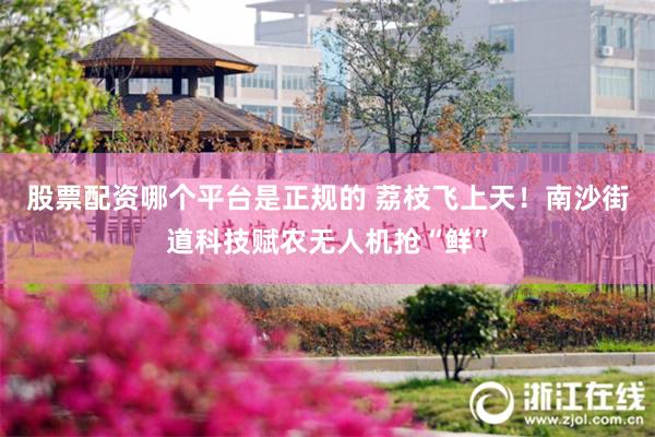 股票配资哪个平台是正规的 荔枝飞上天！南沙街道科技赋农无人机抢“鲜”