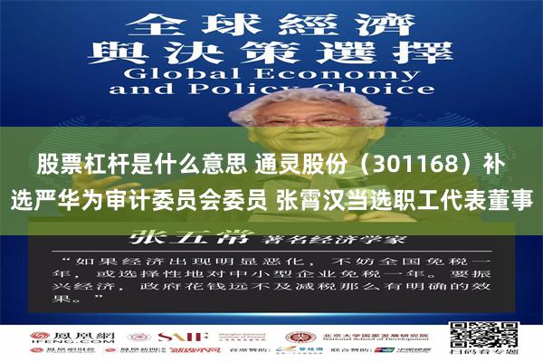 股票杠杆是什么意思 通灵股份（301168）补选严华为审计委员会委员 张霄汉当选职工代表董事