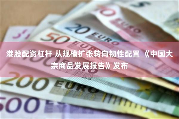 港股配资杠杆 从规模扩张转向韧性配置 《中国大宗商品发展报告》发布