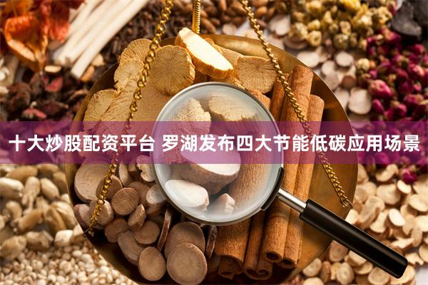 十大炒股配资平台 罗湖发布四大节能低碳应用场景