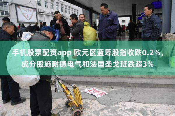 手机股票配资app 欧元区蓝筹股指收跌0.2%，成分股施耐德电气和法国圣戈班跌超3%