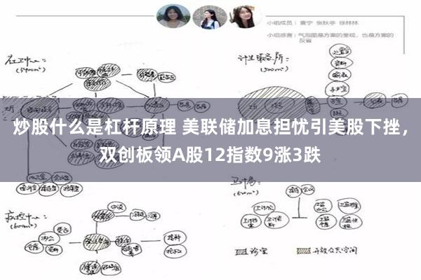炒股什么是杠杆原理 美联储加息担忧引美股下挫，双创板领A股12指数9涨3跌