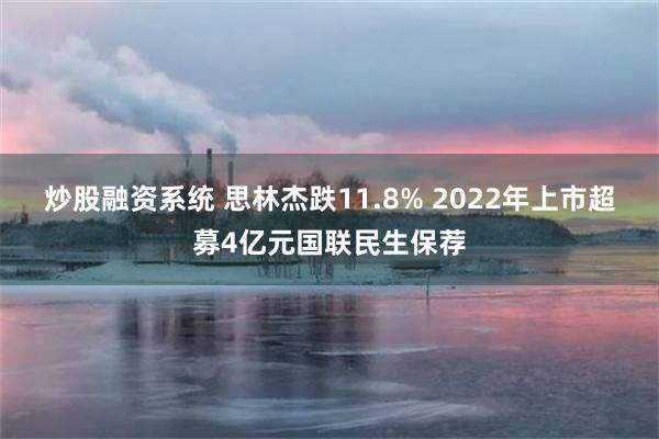 炒股融资系统 思林杰跌11.8% 2022年上市超募4亿元国联民生保荐