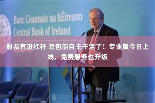 股票有没杠杆 豆包能自主干活了！专业版今日上线，免费服务也升级