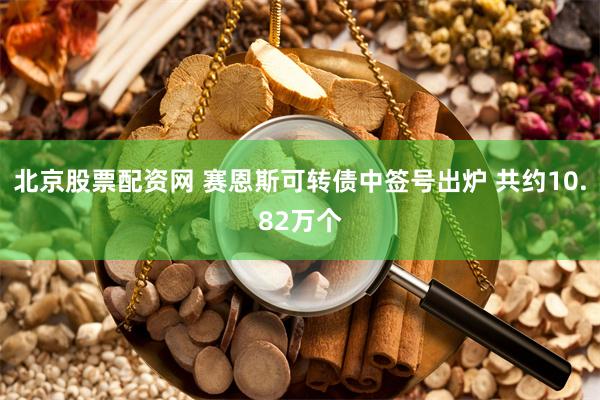 北京股票配资网 赛恩斯可转债中签号出炉 共约10.82万个