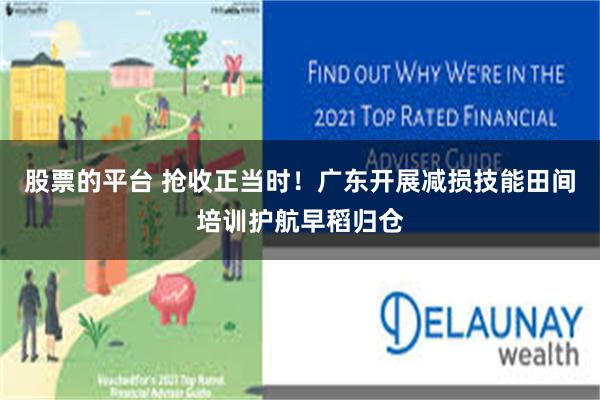 股票的平台 抢收正当时！广东开展减损技能田间培训护航早稻归仓