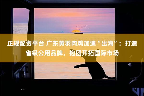 正规配资平台 广东黄羽肉鸡加速“出海”：打造省级公用品牌，抱团开拓国际市场
