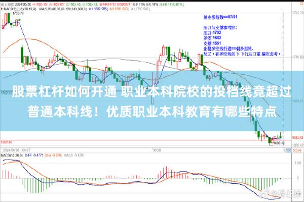 股票杠杆如何开通 职业本科院校的投档线竟超过普通本科线！优质职业本科教育有哪些特点